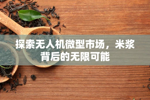 探索无人机微型市场，米浆背后的无限可能