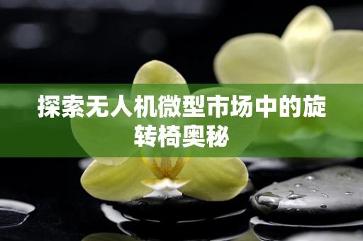 探索无人机微型市场中的旋转椅奥秘