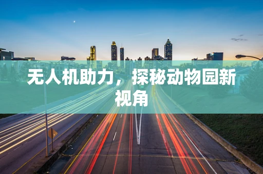 无人机助力，探秘动物园新视角