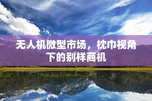无人机微型市场，枕巾视角下的别样商机