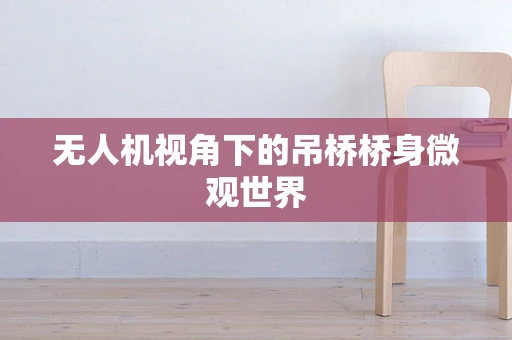 无人机视角下的吊桥桥身微观世界