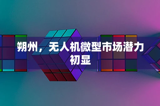 朔州，无人机微型市场潜力初显