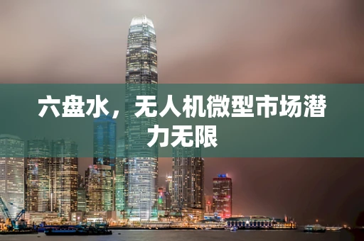 六盘水，无人机微型市场潜力无限